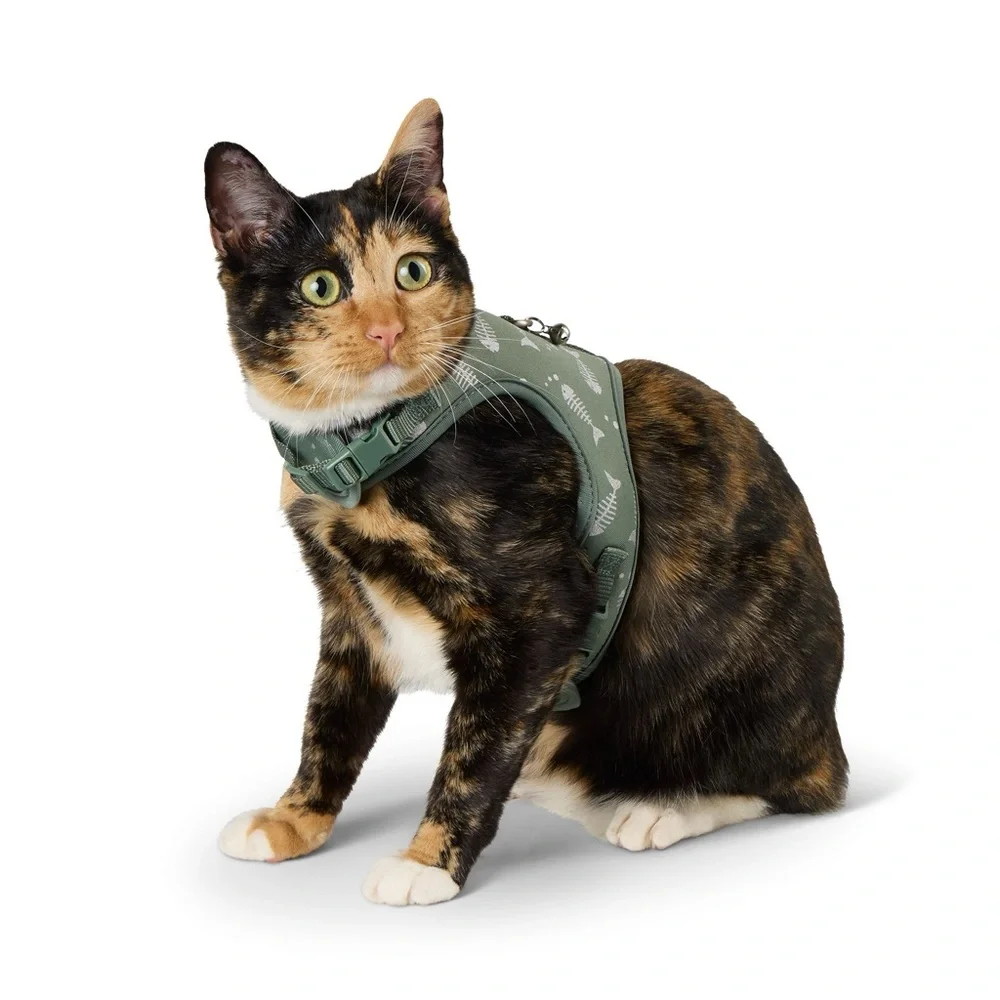 Whisker City stylish Navy blue Cat Harness & Leash